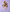 Sense Rejuvenating Shampoing – 300 ml